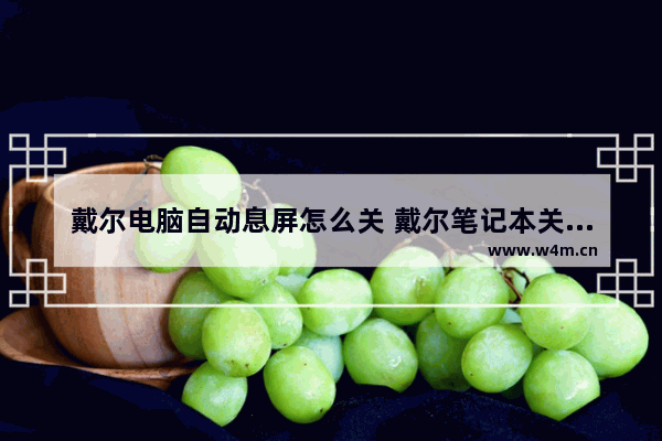 戴尔电脑自动息屏怎么关 戴尔笔记本关闭显示器