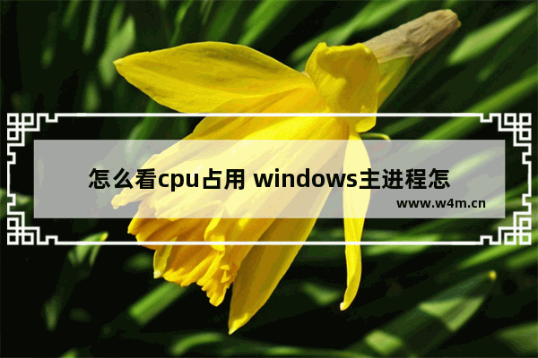 怎么看cpu占用 windows主进程怎么这个进程占用CPU很高.怎么解决