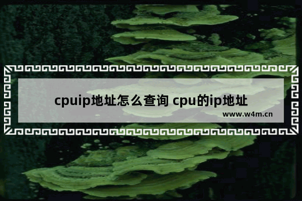 cpuip地址怎么查询 cpu的ip地址