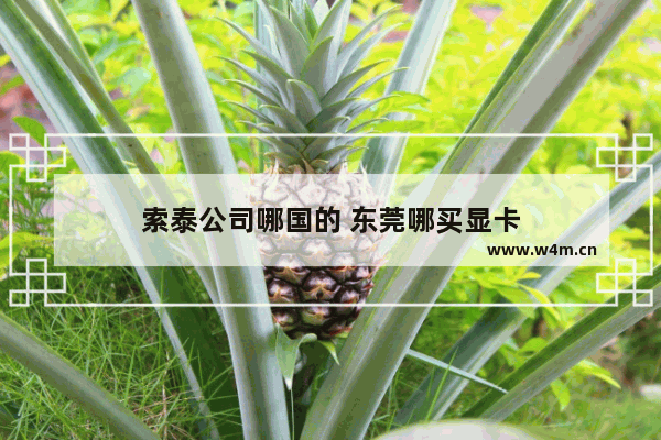 索泰公司哪国的 东莞哪买显卡