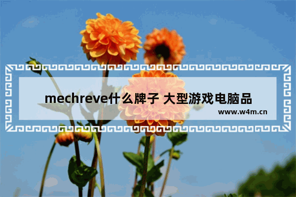 mechreve什么牌子 大型游戏电脑品牌