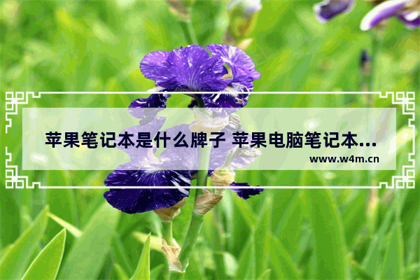 苹果笔记本是什么牌子 苹果电脑笔记本电脑