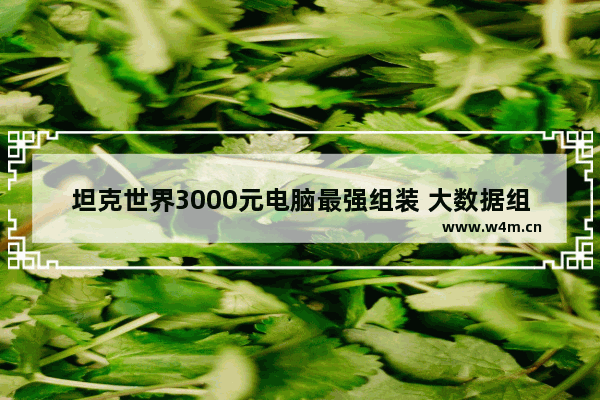 坦克世界3000元电脑最强组装 大数据组装电脑