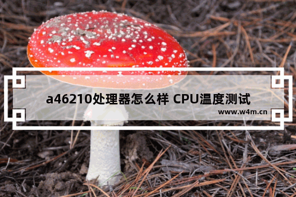 a46210处理器怎么样 CPU温度测试性格