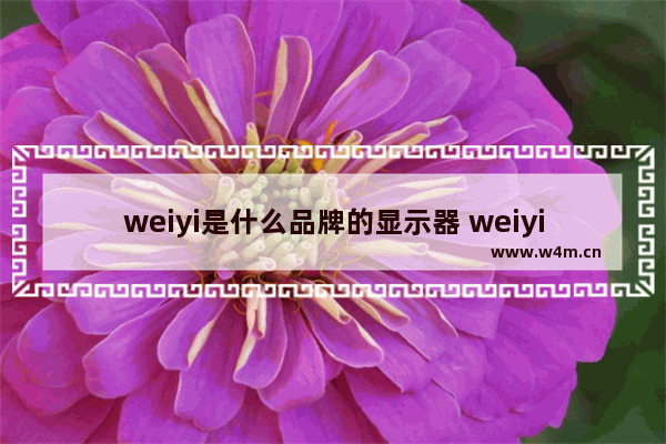 weiyi是什么品牌的显示器 weiyi 显示器