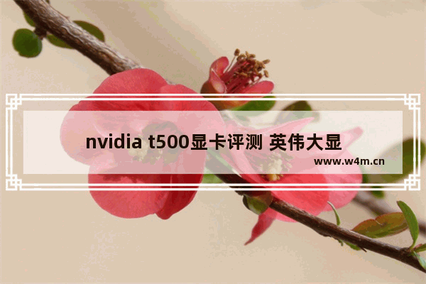 nvidia t500显卡评测 英伟大显卡