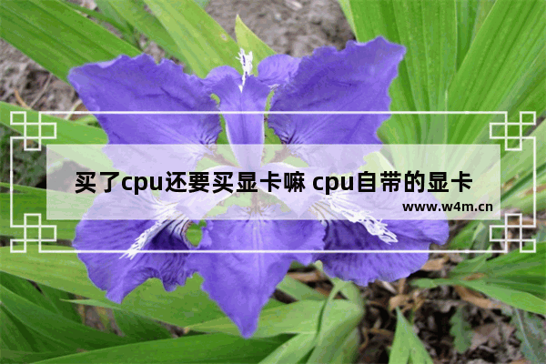 买了cpu还要买显卡嘛 cpu自带的显卡够用吗