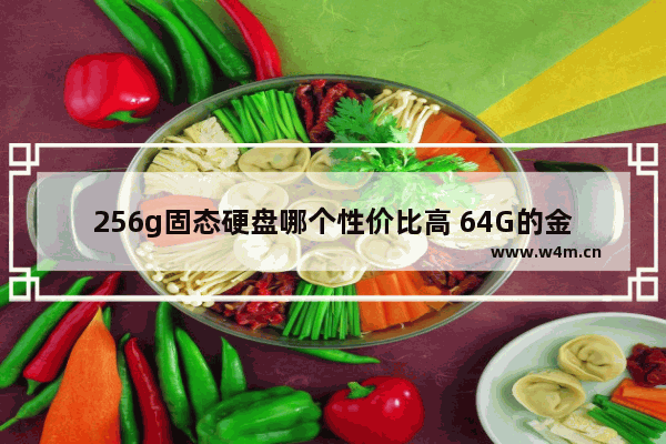 256g固态硬盘哪个性价比高 64G的金士顿是什么系统