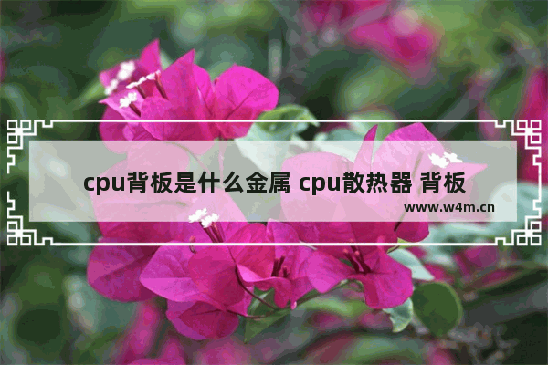 cpu背板是什么金属 cpu散热器 背板