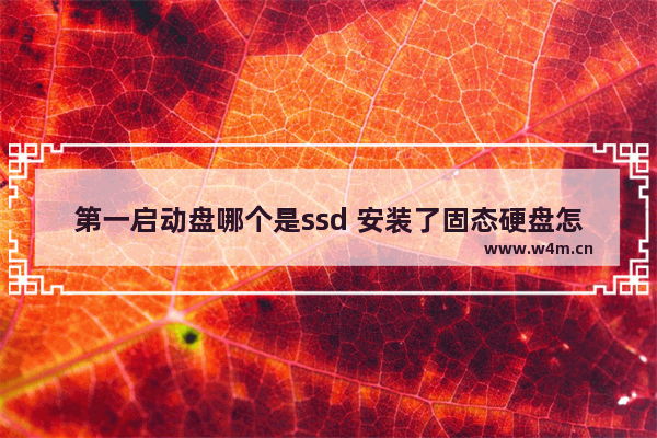 第一启动盘哪个是ssd 安装了固态硬盘怎么好像没有显示 固态硬盘插上后没显示