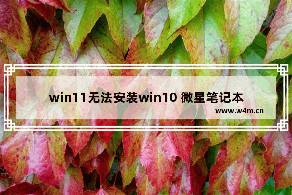 win11无法安装win10 微星笔记本电脑壁纸