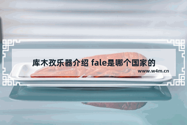 库木孜乐器介绍 fale是哪个国家的