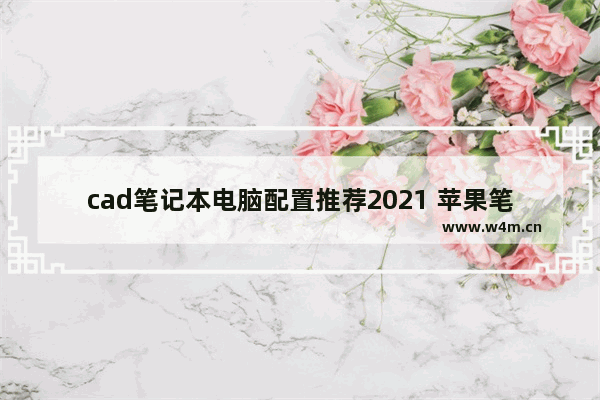 cad笔记本电脑配置推荐2021 苹果笔记本电脑类型