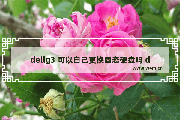 dellg3 可以自己更换固态硬盘吗 dellg3固态硬盘更换