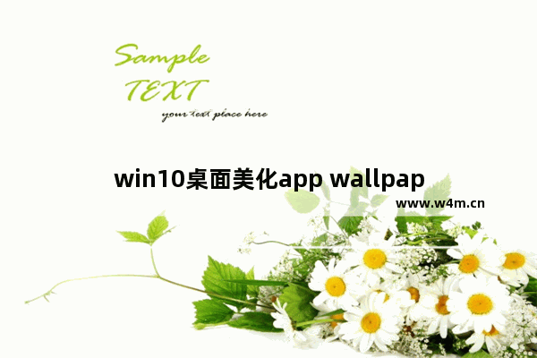 win10桌面美化app wallpaper为什么有的壁纸只放一半