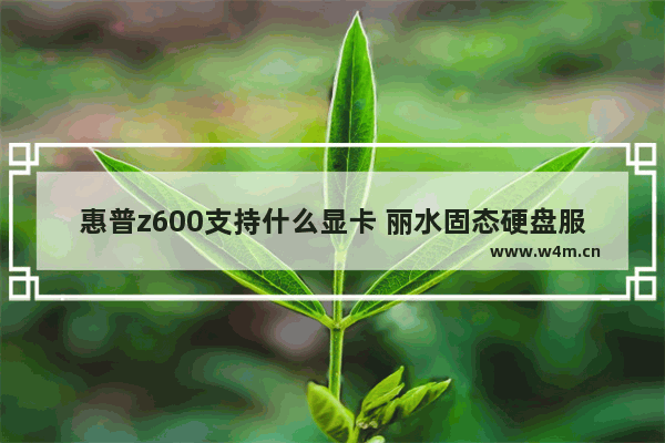 惠普z600支持什么显卡 丽水固态硬盘服务器