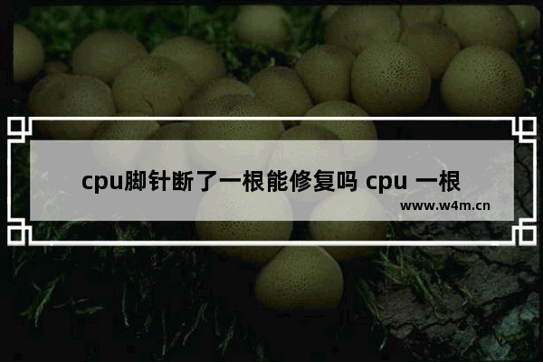 cpu脚针断了一根能修复吗 cpu 一根针