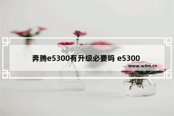 奔腾e5300有升级必要吗 e5300 cpu升级