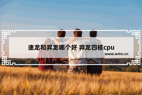 速龙和羿龙哪个好 羿龙四核cpu