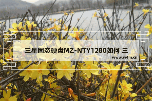 三星固态硬盘MZ-NTY1280如何 三星固态硬盘评测