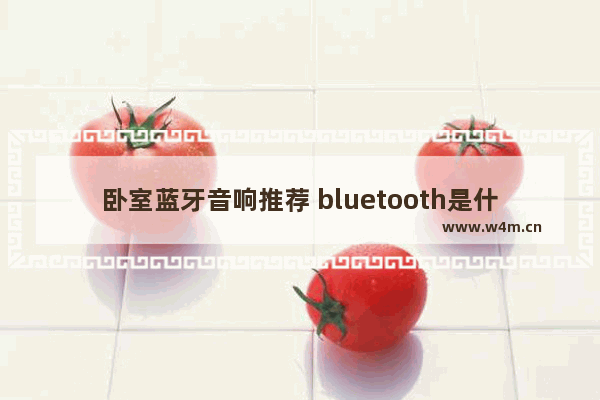 卧室蓝牙音响推荐 bluetooth是什么牌子音箱