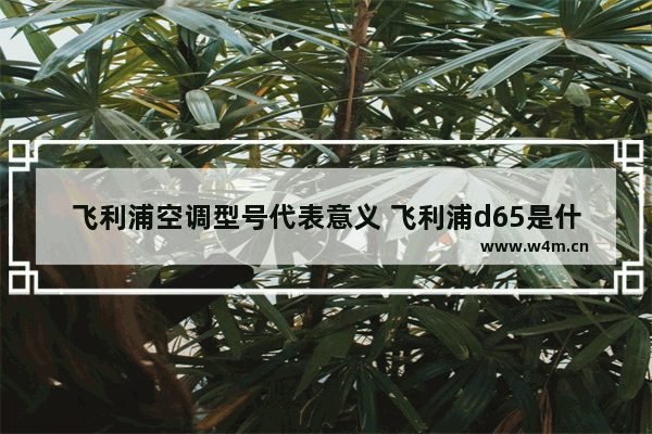 飞利浦空调型号代表意义 飞利浦d65是什么意思