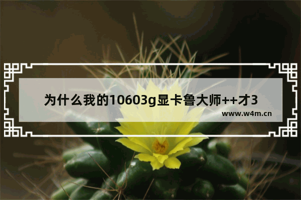 为什么我的10603g显卡鲁大师++才3万 处理器是955的 买3万显卡