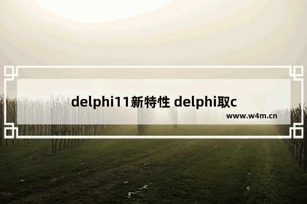 delphi11新特性 delphi取cpu序列号