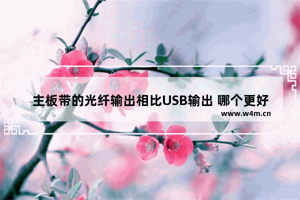 主板带的光纤输出相比USB输出 哪个更好 主板上哪个接口接电脑好