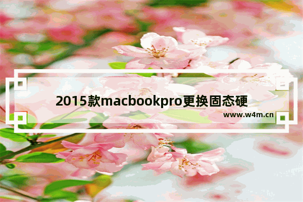 2015款macbookpro更换固态硬盘哪个牌子好 西数固态硬盘镁光哪个好