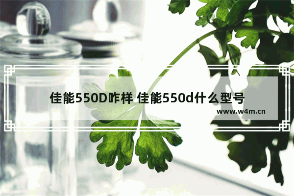 佳能550D咋样 佳能550d什么型号