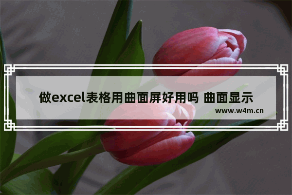 做excel表格用曲面屏好用吗 曲面显示器设计用