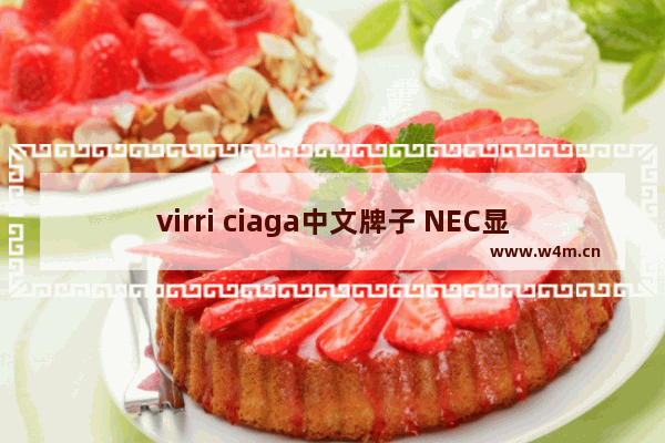 virri ciaga中文牌子 NEC显示器怎么样 有知道的吗