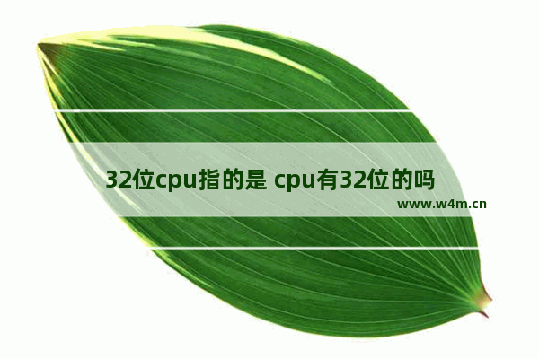 32位cpu指的是 cpu有32位的吗