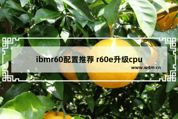 ibmr60配置推荐 r60e升级cpu