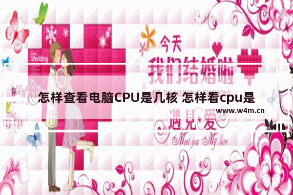 怎样查看电脑CPU是几核 怎样看cpu是几核