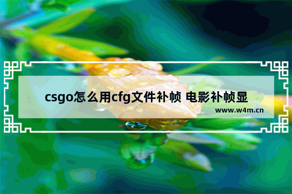 csgo怎么用cfg文件补帧 电影补帧显卡