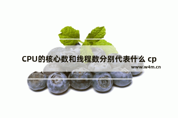 CPU的核心数和线程数分别代表什么 cpu的线程数是什么