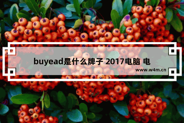 buyead是什么牌子 2017电脑 电源品牌