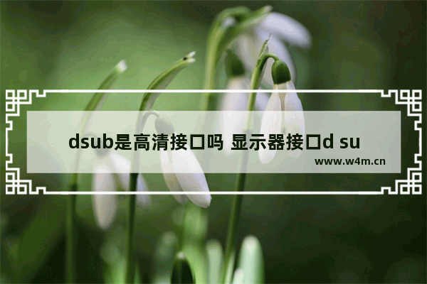 dsub是高清接口吗 显示器接口d sub