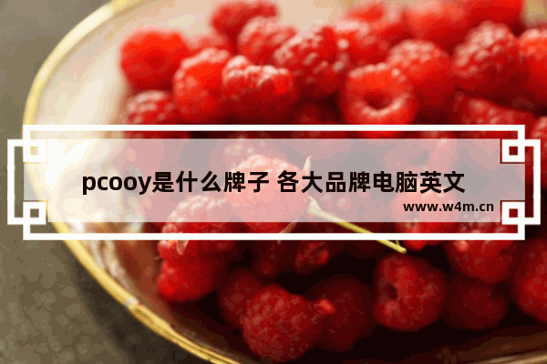 pcooy是什么牌子 各大品牌电脑英文