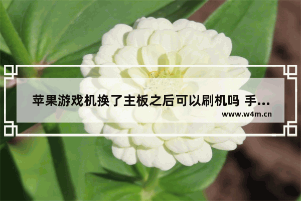 苹果游戏机换了主板之后可以刷机吗 手机换主了板就不能装鸿蒙系统吗