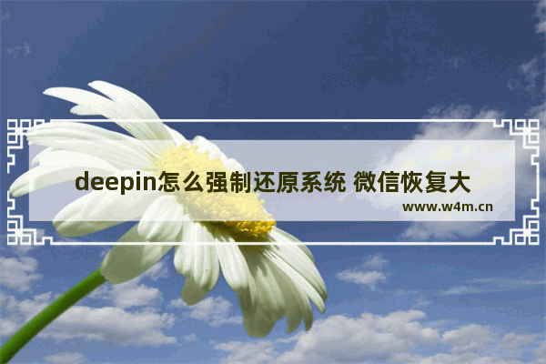 deepin怎么强制还原系统 微信恢复大师靠谱吗