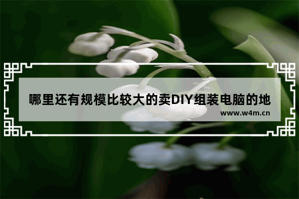 哪里还有规模比较大的卖DIY组装电脑的地方 diy电脑组装服务