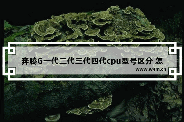 奔腾G一代二代三代四代cpu型号区分 怎么能知道是奔腾G几代的 5代奔腾cpu型号