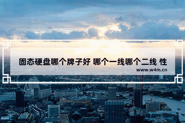 固态硬盘哪个牌子好 哪个一线哪个二线 性价比高的推荐一下 富士康十大品牌排名