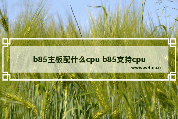 b85主板配什么cpu b85支持cpu吗