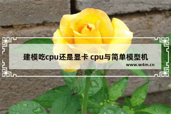 建模吃cpu还是显卡 cpu与简单模型机设计实验