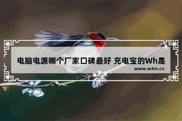 电脑电源哪个厂家口碑最好 充电宝的Wh是什么意思