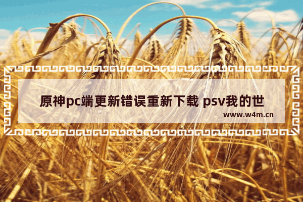 原神pc端更新错误重新下载 psv我的世界更新包无法安装